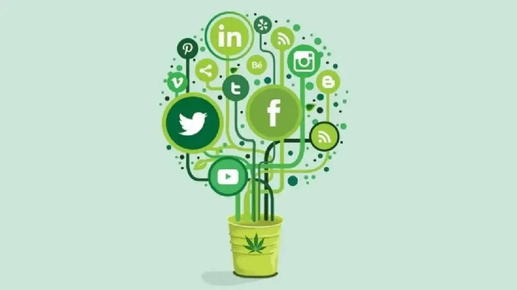 9 Platforms for Cannabis Business Social Networks in 2024